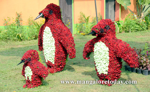 flower sho in kadri
